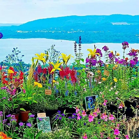 Bed & Breakfast Tramonti E Laghi - Charming